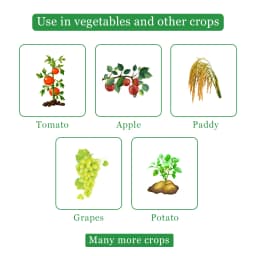 Shriram CARZEB Carbendazim 12% + Mancozeb 63% WP Fungicide, Effective For Fruits, Vegetables And Field Crops 4