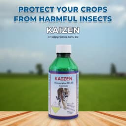 Shree Industries Kaizen Chlorpyriphos 50% EC Insecticide, Contact, Stomach and Fumigation Against Broad Spectrum of Pests and Beetles 2