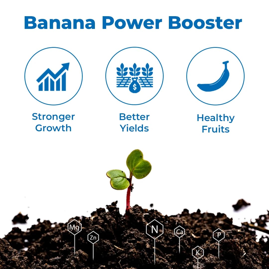 Agroveer Banana Special Fertilizer - Image 3
