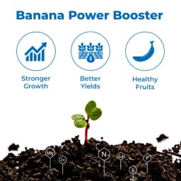 Agroveer Banana Special Booster, ICAR Patented Product, Contains Primary Nutrients, Secondary Nutrients And Micronutrients. 3