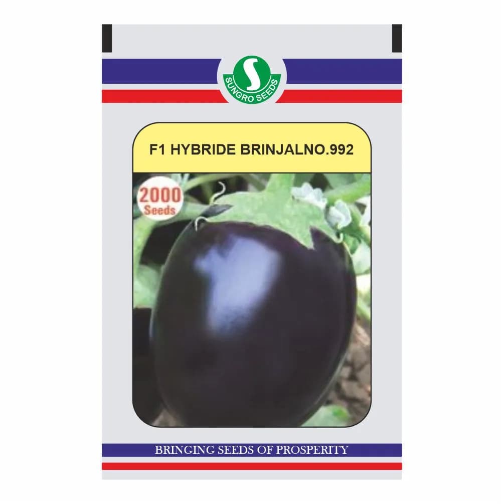Sungro Brinjal F1 Hybrid No. 992 Seeds, Oval To Round Shape With Blackish Purple Color (2000 Seeds)