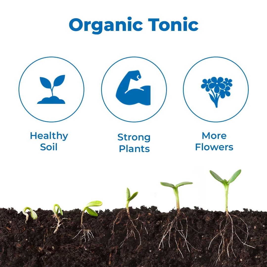 Jeevamiritham Organic Liquid Plant Growth Promoter, Which Boosts The Plant Growth and Gives Good Yield - Image 3