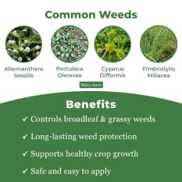 TATA Rallis Panida Pendimethalin 30% EC, Prevents Plant Cell-Division & Elongation, Inhibits Root And Shoot Growth. 3