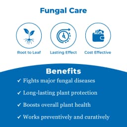 EBS Suvistin Carbendazim 50% WP Fungicide, Broad Spectrum Systemic Fungicide with Protective and Curative Action. 3