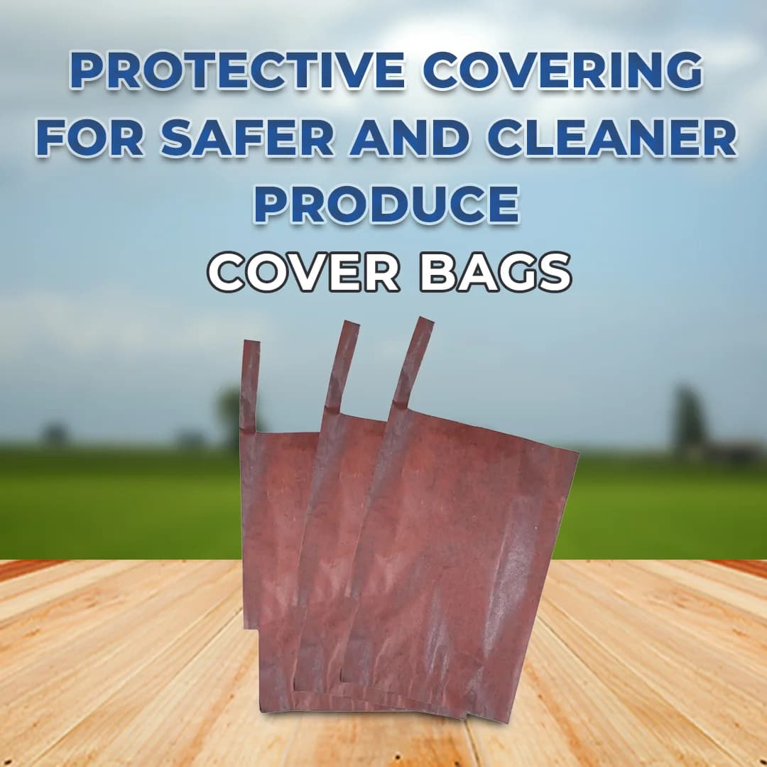 Radhe Mango Protection Bag - Image 2