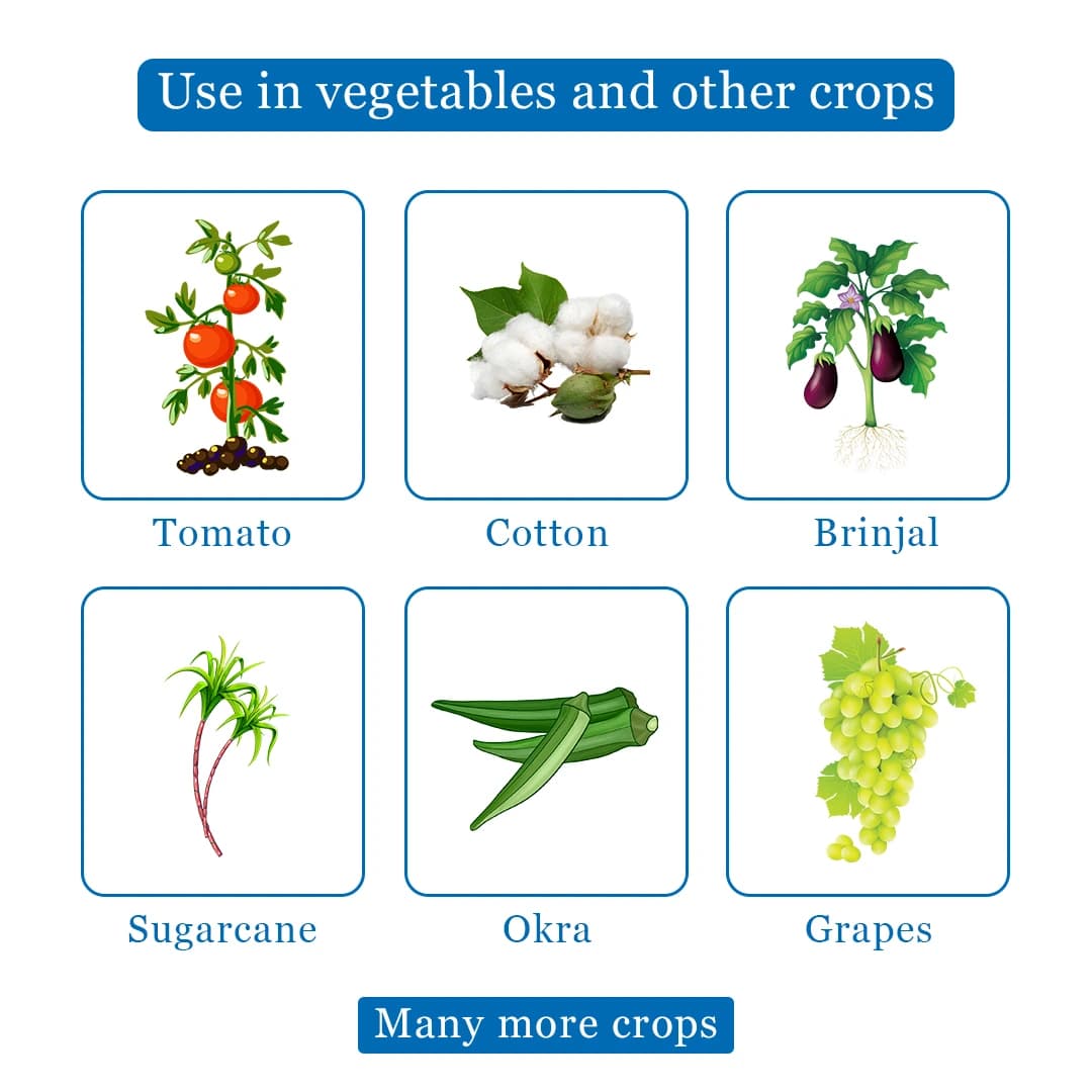 Exylon Thunder Insecticide - Tolfenpyrad 15% EC - Image 4