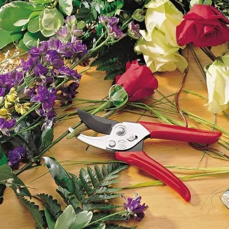 Wolf Garten Action Secateurs Set (RSEN RREN), Steel Anvil And Bypass Garden Shear Set, Garden Tool - Image 4