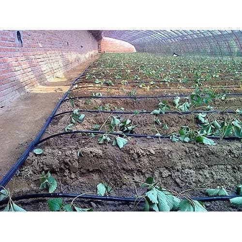 Siddhi Inline 16mm Drip Pipe, In Built Dripper, 4 Liter Water Discharge per Hour, Length-100 Meters - Image 8