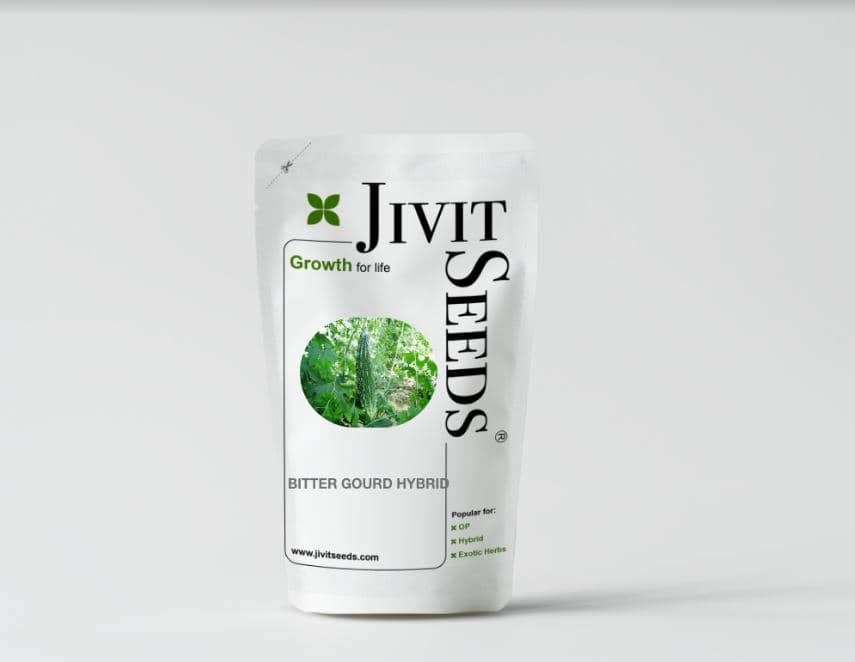 जिवित हाइब्रिड एफ1 जेएस 663 करेले के बीज, गहरे हरे रंग के जोरदार फल, उच्च गुणवत्ता वाले।