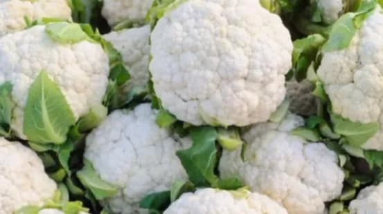 Bioseed SW 65 Cauliflower F1 Hybrid Seeds, Dome Shaped With Beautiful White Color