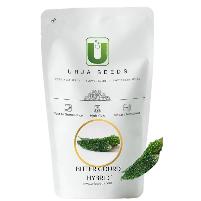 Urja Hybrid F1 Pure Green Plus Bitter Gourd Seeds, Karele Ke Beej, Dark Green Deep Green Ridged Fruits