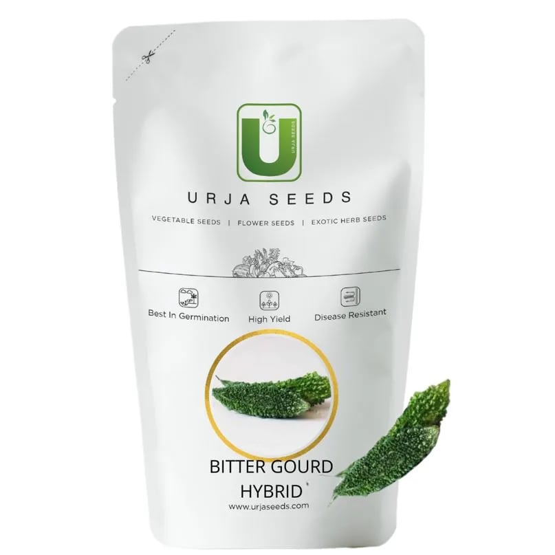 Urja Hybrid F1 Pure Green Plus Bitter Gourd Seeds, Karele Ke Beej, Dark Green Deep Green Ridged Fruits