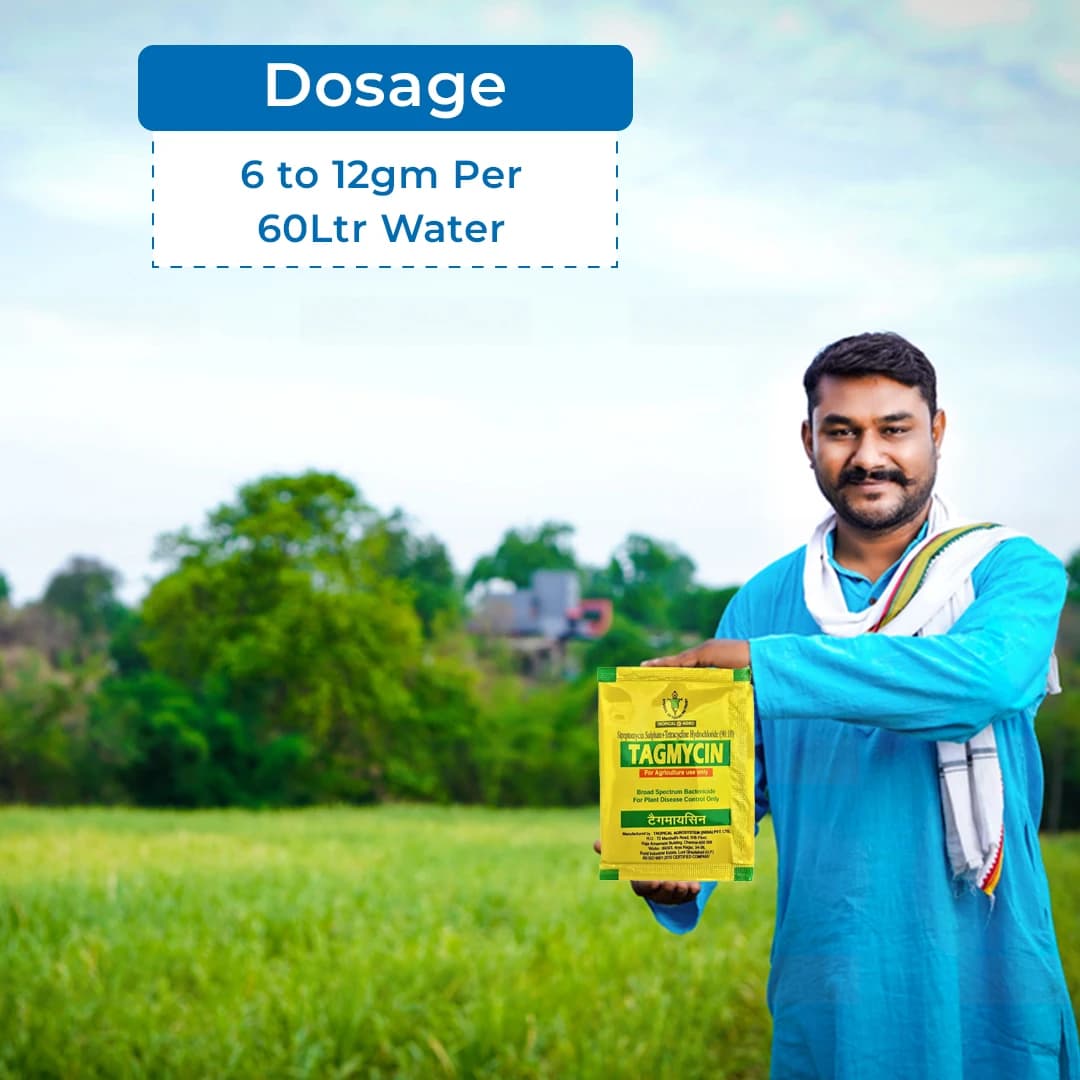 Tropical TAGMYCIN Streptomycin Sulphate 90% + Tetracycline Hydrochloride 10% SP Bactericide, Plant Disease Control - Image 5