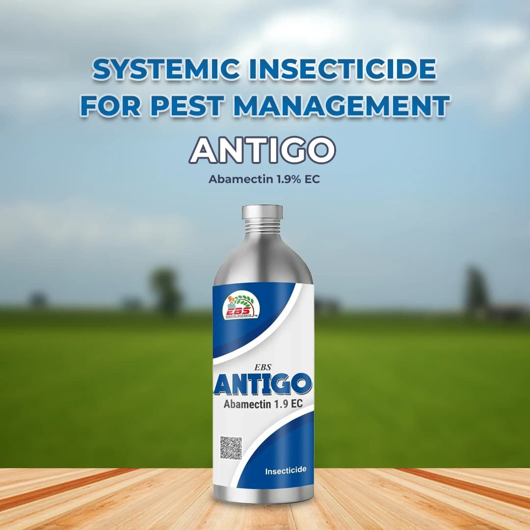 EBS Antigo Insecticide - Image 2