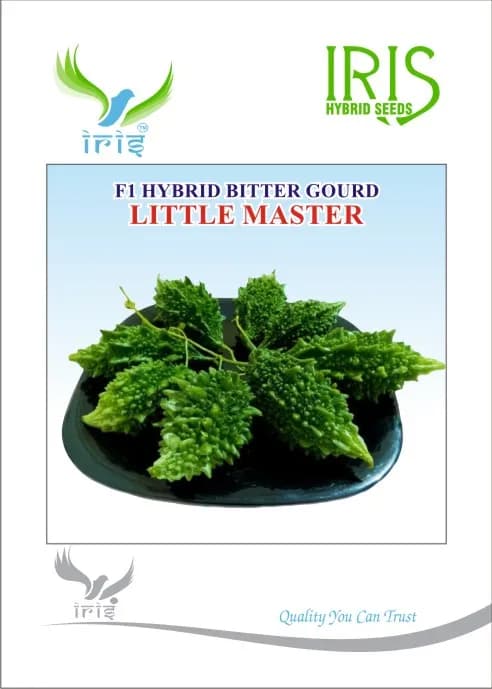 Iris Hybrid Vegetable Seeds F1 Hybrid Bitter Gourd Little Master, Early Maturity With High Yield - Image 1
