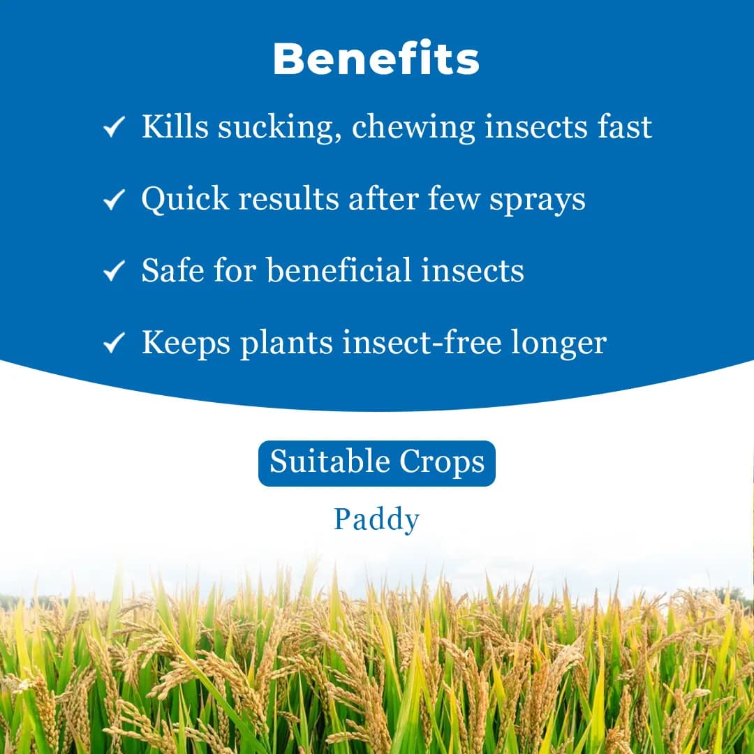 Adama Sigalit Pymetrozine 50% WG Insecticide, Highly Effective Solution for BPH Control In Paddy - Image 4