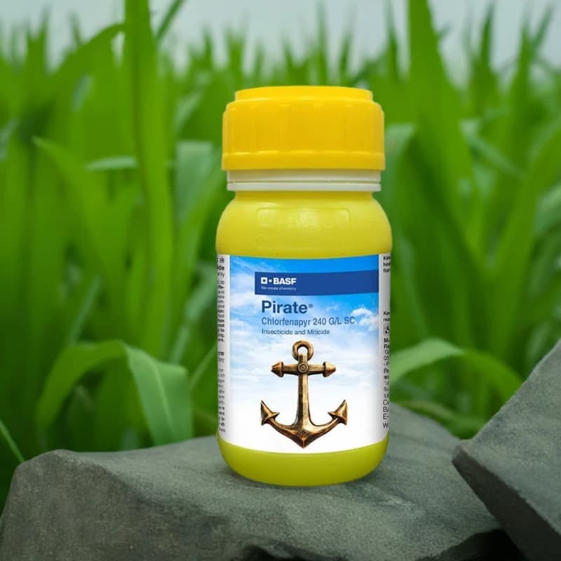 BASF Pirate Chlorfenapyr 240 GL SC Insecticide, Effective For Crops Protection - Image 3