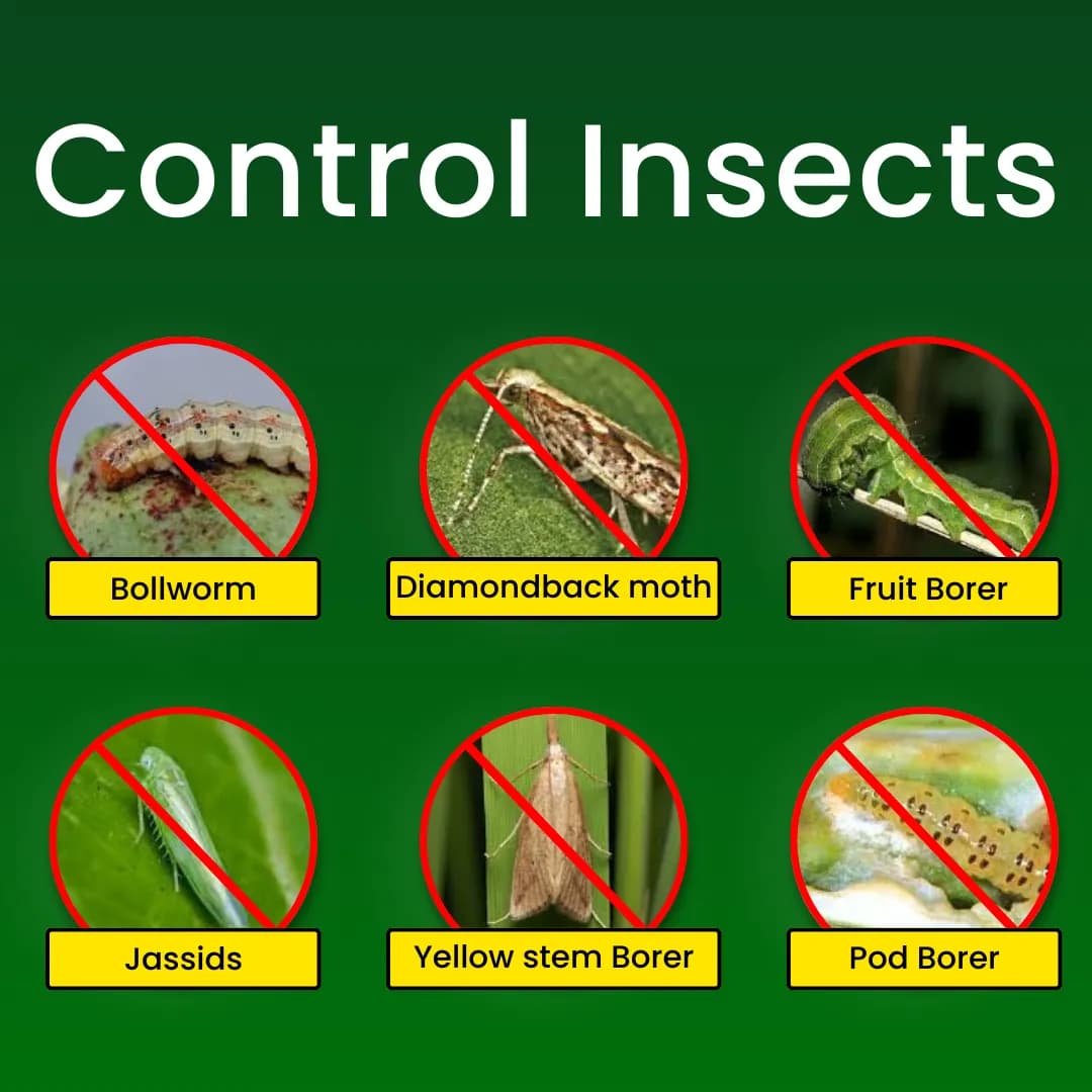 Katyayani K-Indox Indoxacarb 14.5% SC Insecticide, Effective Against Larva - Image 3
