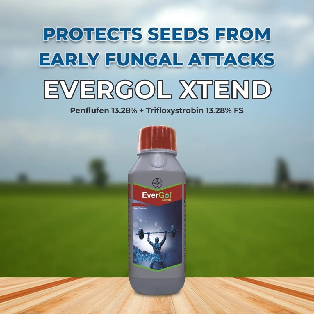 Bayer Evergol Xtend Fungicide - Image 2