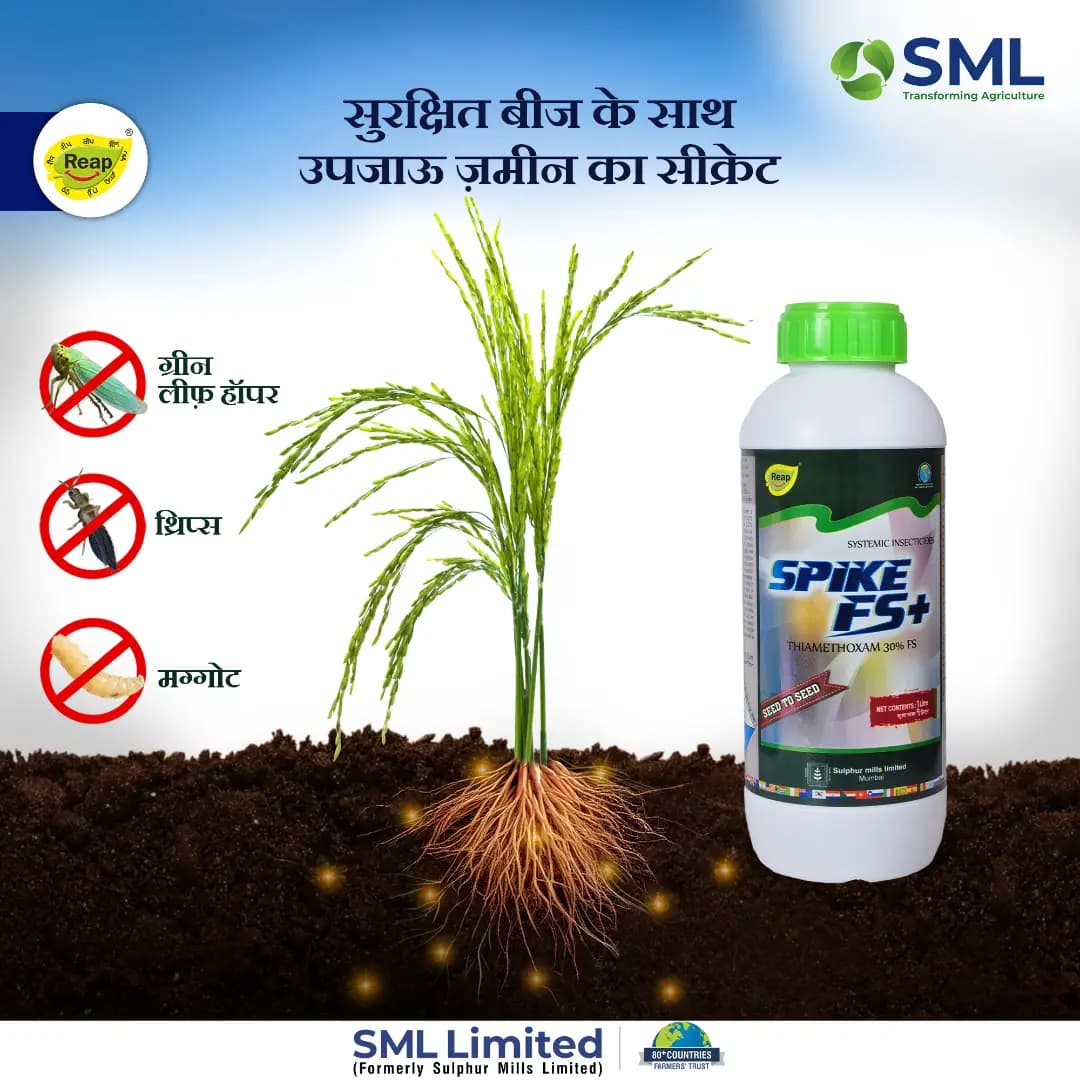 SML SPIKE FS+ Thiamethoxam 30% FS Insecticide, Seed Treatment For Soil Insects And Sucking Pests Control In Crops - Image 2