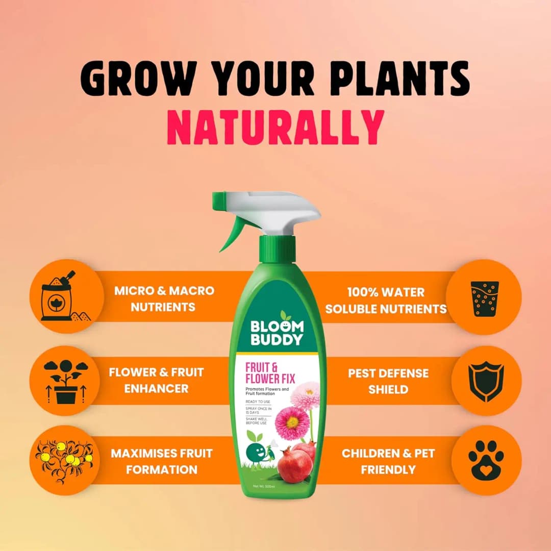 BloomBuddy Fruit and Flower Fix, Organic Liquid Fertilizer with NPK & Micronutrients - Image 6