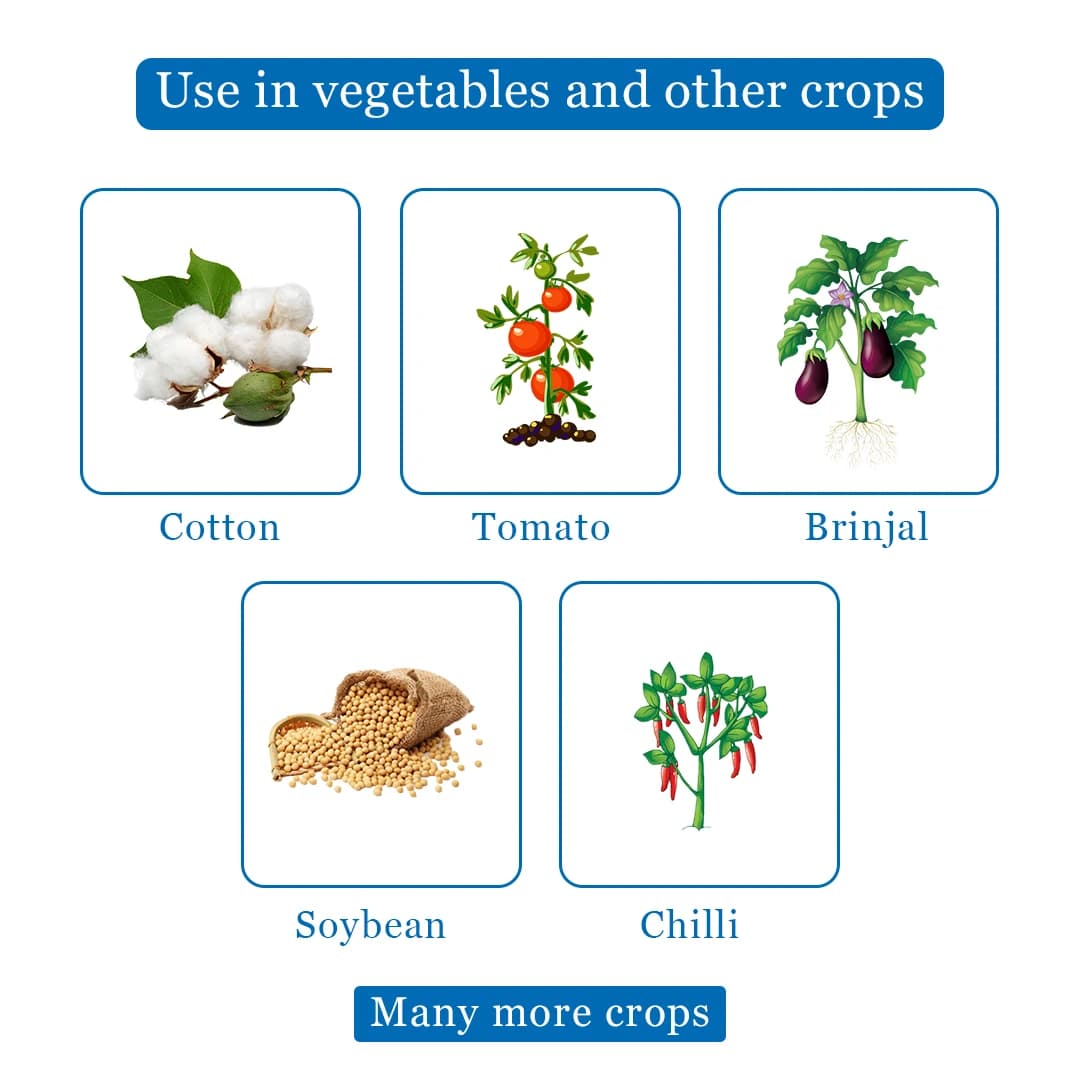 Bayer Solomon Insecticide - Image 4
