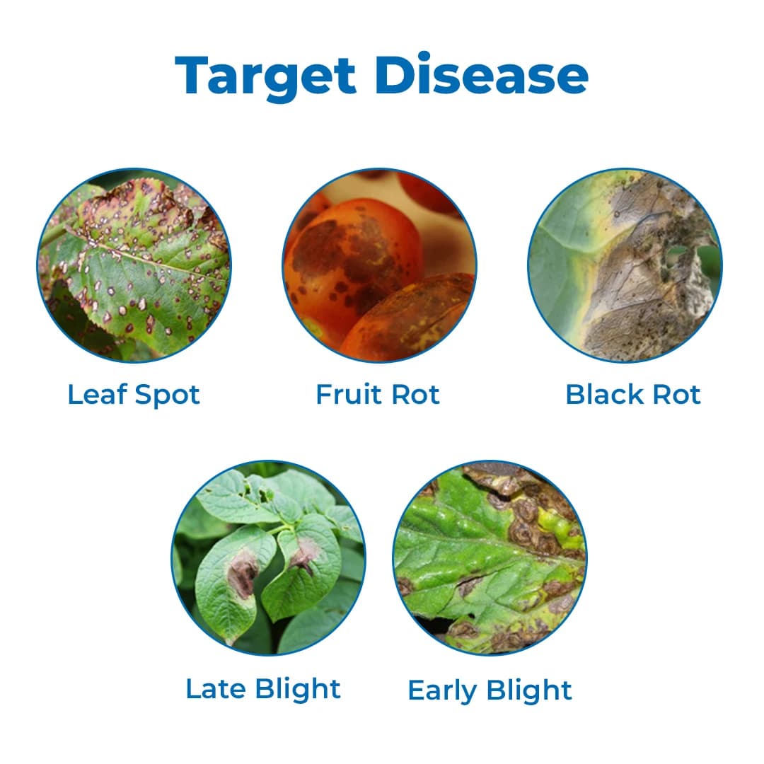 Katyayani COC 50 Copper Oxychloride 50% WP Fungicide, Effective Control Of Wide Range Of Fungal Diseases - Image 3