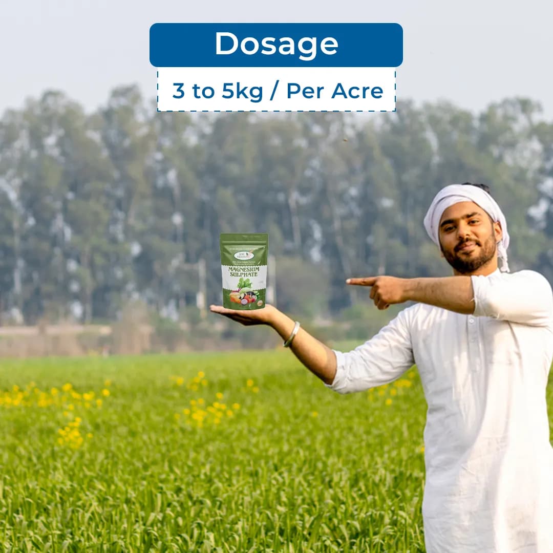 Agriventure Magnesium Sulphate Fertilizer - 100% Water Soluble - Image 6