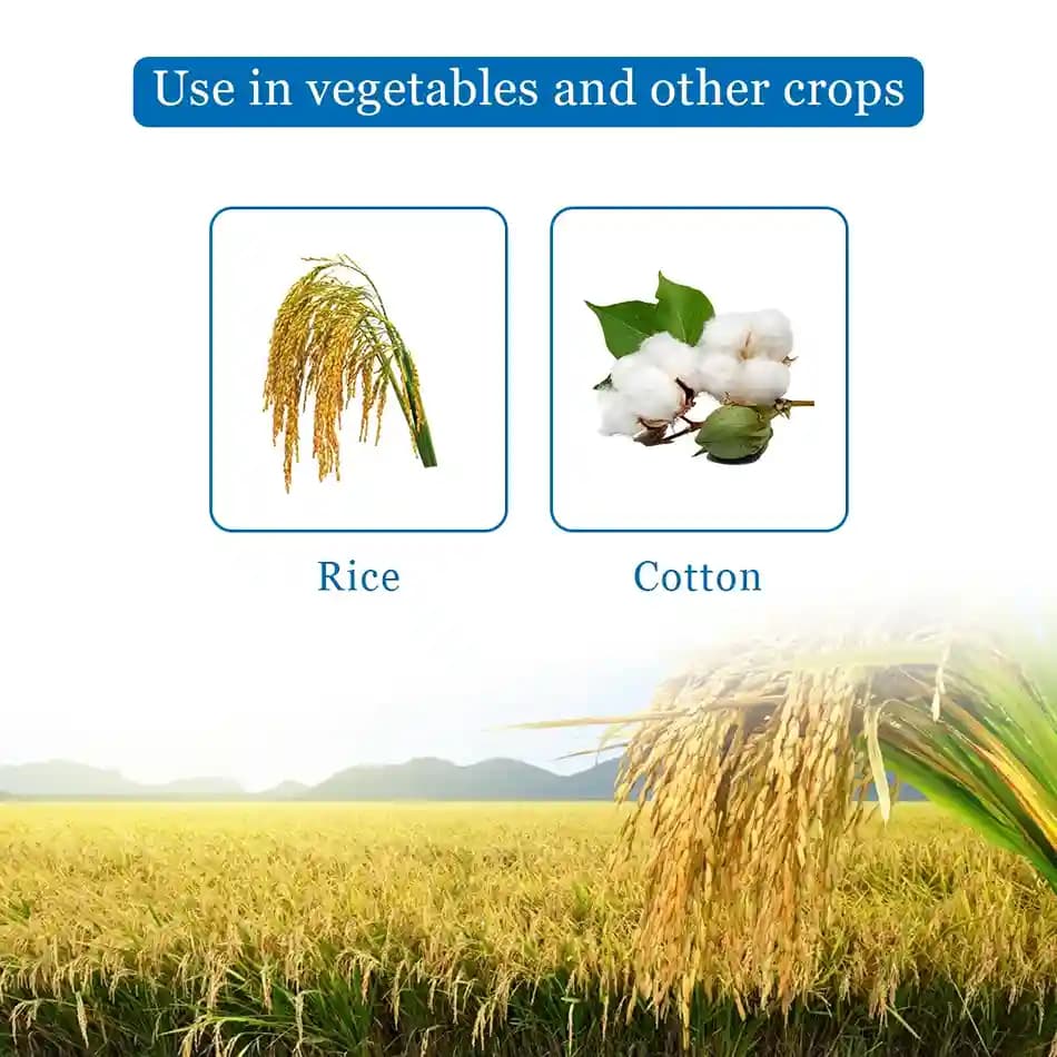 EBS Chlromites Pro Chlorpyrifos 50% EC Insecticide, Control Insects Such as Wireworm, Beetles, And Aphids - Image 4