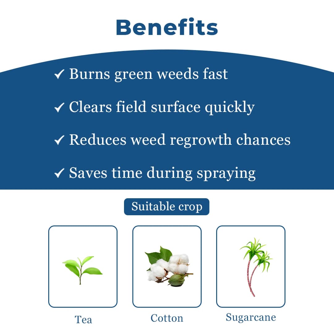Exylon Burst 24 Herbicide - Paraquat Dichloride 24% SL - Image 4