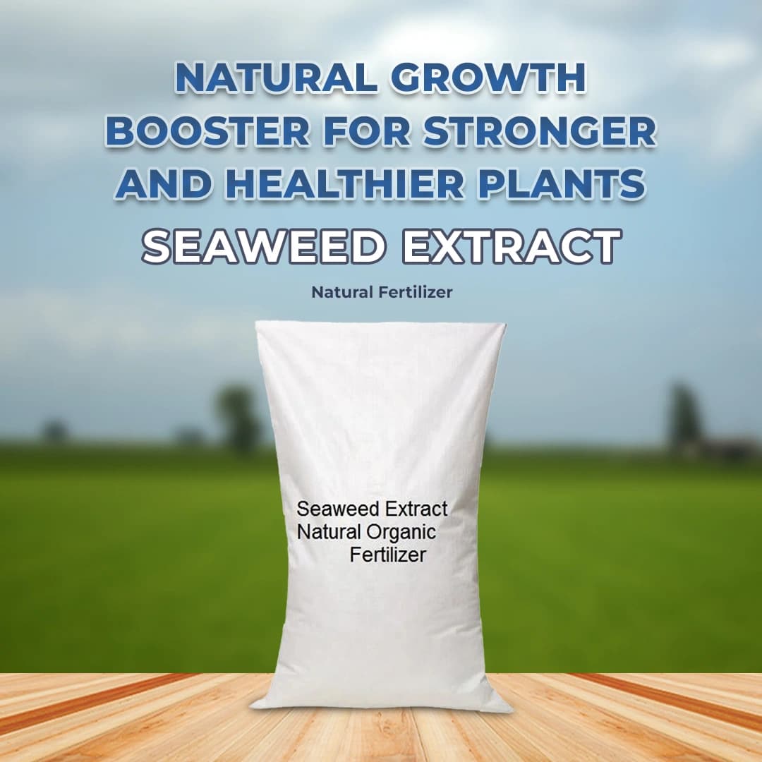 Seaweed Extract A Natural Organic Fertilizer, Natural Highly Specialized Bio Stimulant. - Image 2