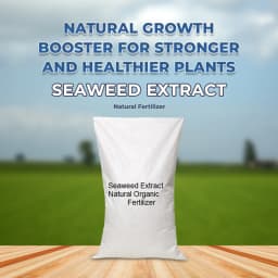Seaweed Extract A Natural Organic Fertilizer, Natural Highly Specialized Bio Stimulant. 2