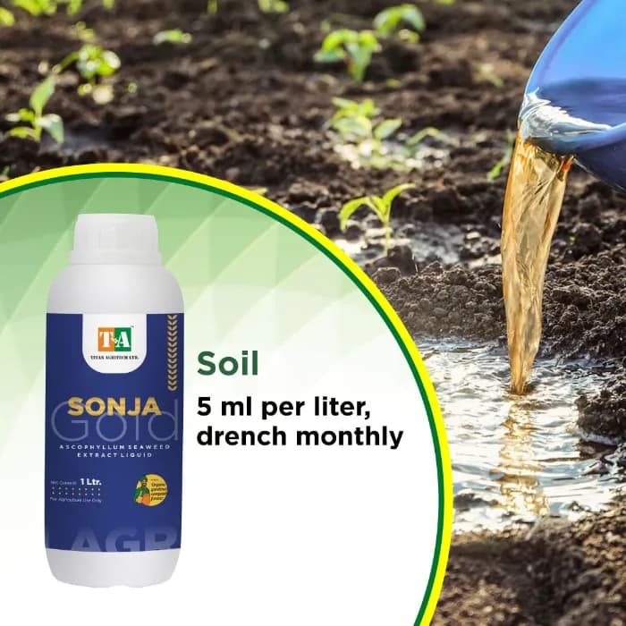 Titan Agritech Sonja Gold Seaweed Extract Liquid 30% Biostimulant, Boosts Root System And Nutrient Mobility - Image 3