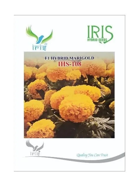 Iris Hybrid Flower Seeds F1 Hybrid Marigold Yellow IHS-108 Seeds. Large Bush.