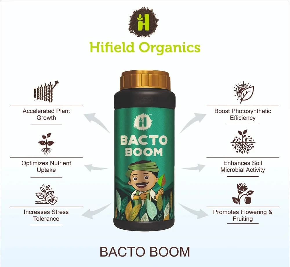 Hifield Bacto Boom Bacterial Biomass Hydrolysate With 2% Amino Acids For Enhanced Stress Tolerance And Plant Health - Image 2