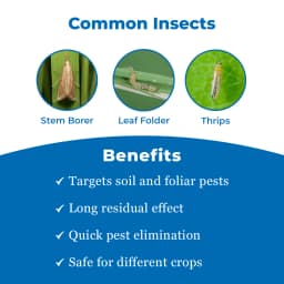 Bayer Jump WG - Fipronil 80 WG (80% ww) Used To Control Insects, Effective in controlling stem borer and leaf folder in rice 3
