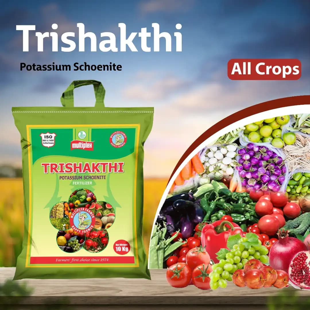 Multiplex Trishakthi Potassium Schoenite, Water Soluble Fertilizer, Boosts Crop Growth, Quality And Yield - Image 2