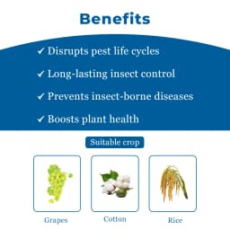 UPL Atabron Chlorfluazuron 5.4% EC Insecticides, Contact and Stomach Action Against Larvae of Spodoptera, Plutella and Heliothis 4