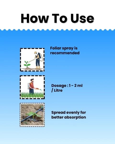 Katyayani K-Ortho Orthosilicic Acid (OSA) 2% PGR, Enhanced Crop Health and Resilience - Image 5