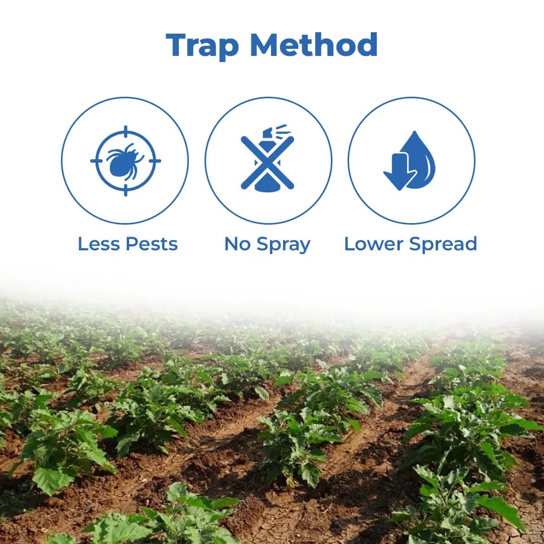 फनल फेरोमोन ट्रैप, ब्रिनजल ल्यूसिन-ओ-ल्यूर (ल्यूसीनोड्स ऑर्बोनालिस) बैंगन फल और तना छेदक कीट के लिए। - Image 3