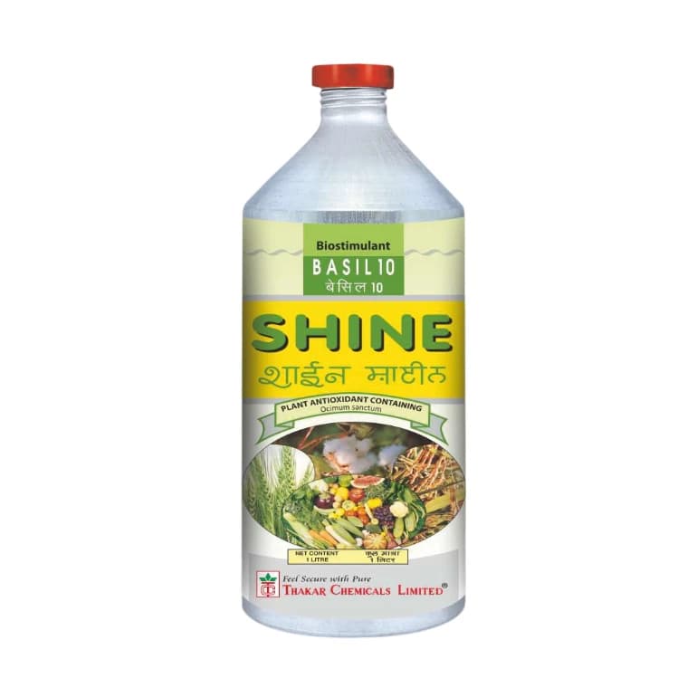 Thakar Shine Basil 10 Herbal Growth Enhancer Biostimulants For Increased Yield And Better Crop Quality