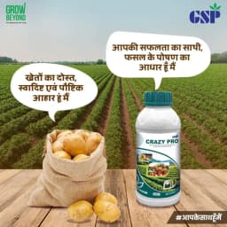 GSP Crazy Pro Hydrolyzed Protein, Amino Acids Bio-Stimulant, Mixture of Pepticide And Amino Acid 2