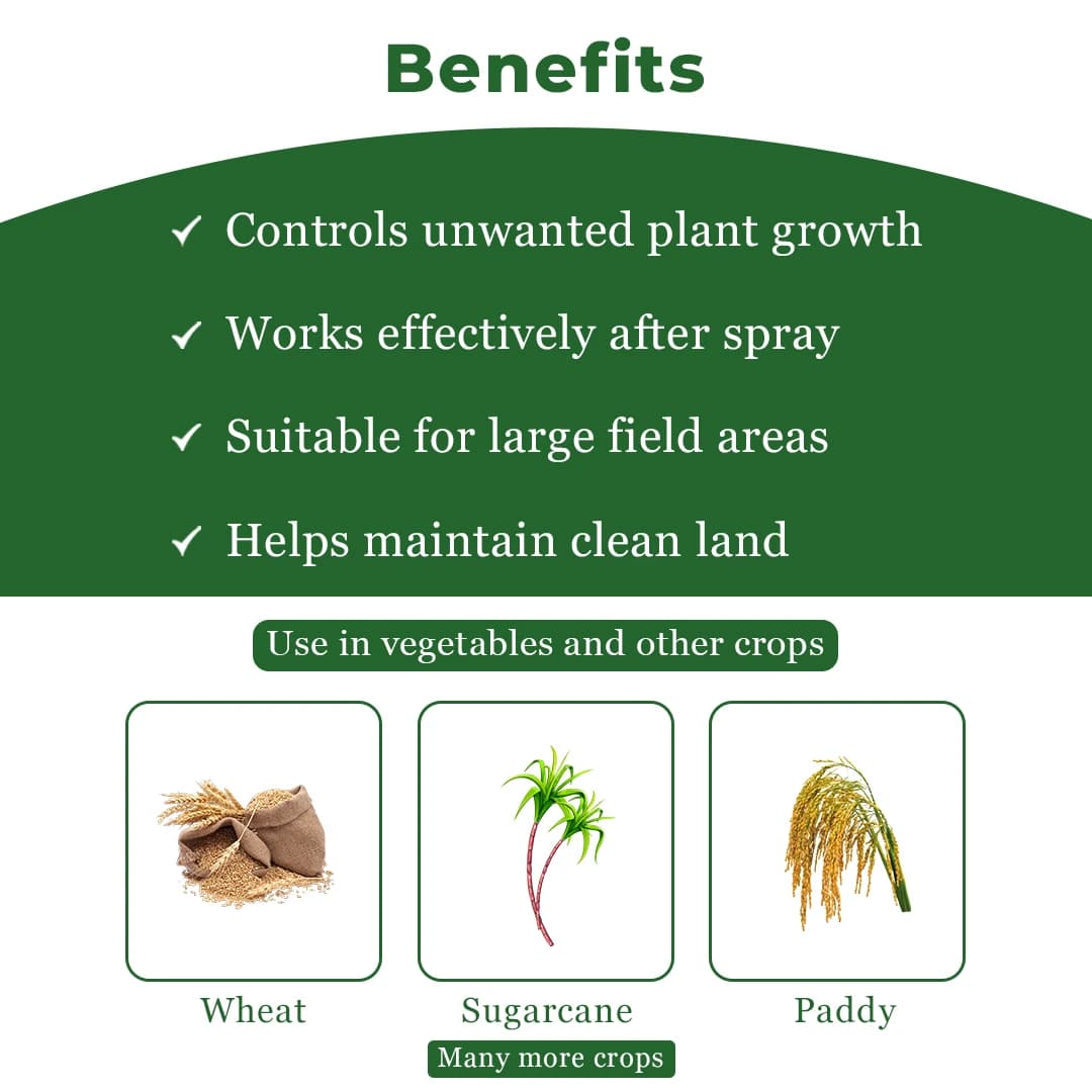 Agriventure Ameen ( 2,4-D Amine Salt 58 % S.L ) Broad Spectrum And Selective Herbicide - Image 4