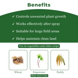 Agriventure Ameen ( 2,4-D Amine Salt 58 % S.L ) Broad Spectrum And Selective Herbicide 4