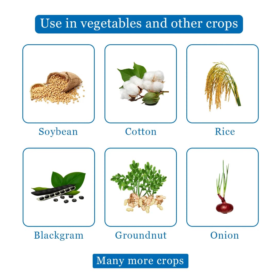 Bayer Whip Super Herbicide - Image 4