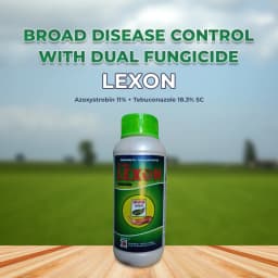 Uttam Lexon Azoxystrobin 11% + Tebuconazole 18.3% SC. Systemic and Contact Fungicides. 2