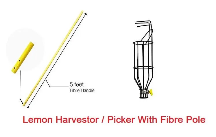 Hectare Fruit Harvester Or Picker For Lemon And Other Small Fruits Picker, Metal Material, Powder Rust Proof Coated.