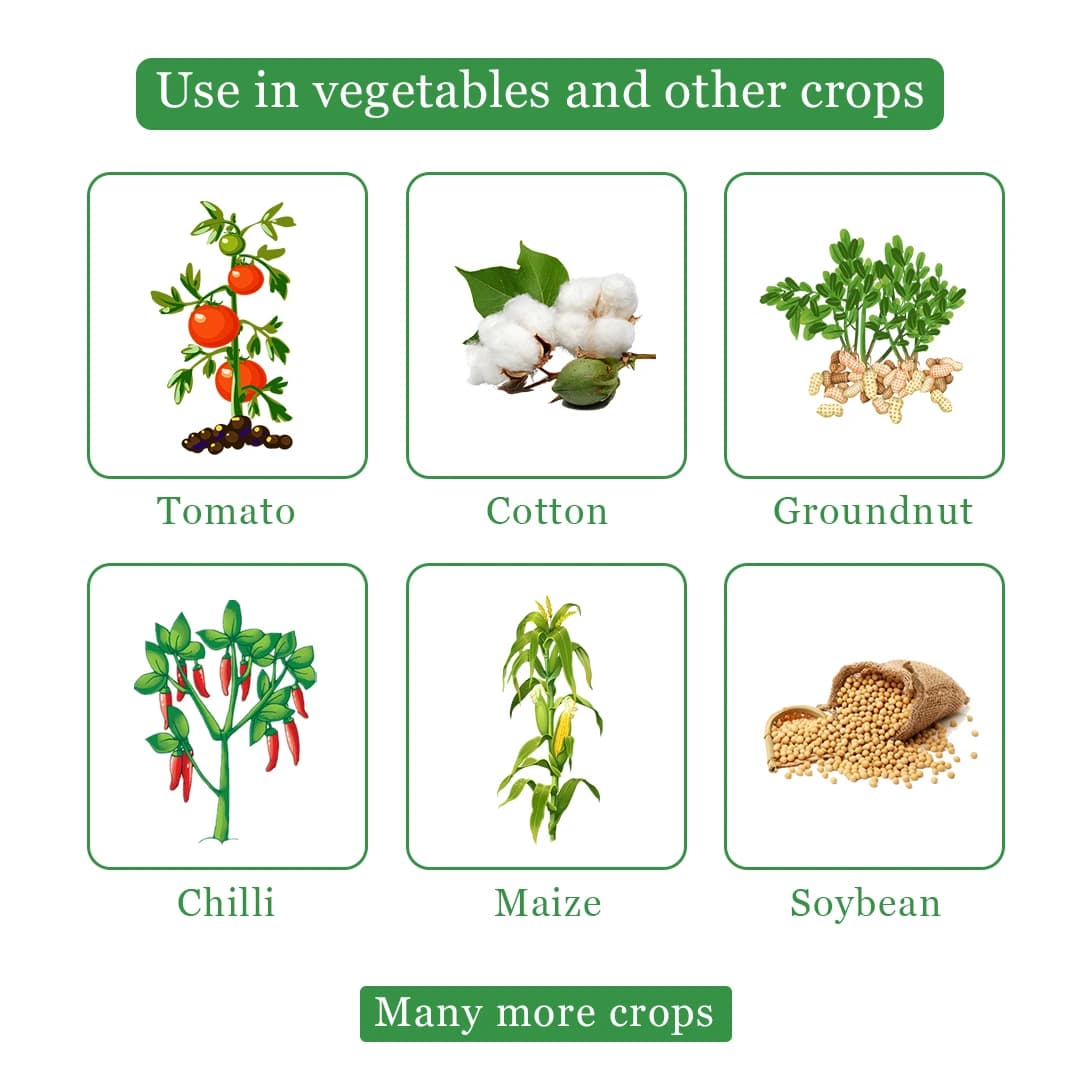 JU Thiola Thiamethoxam 12.6% + Lambda Cyhalothrin 9.5% ZC Insecticide, Effective For Sucking Pests And Caterpillars Pest Control In Crop - Image 4