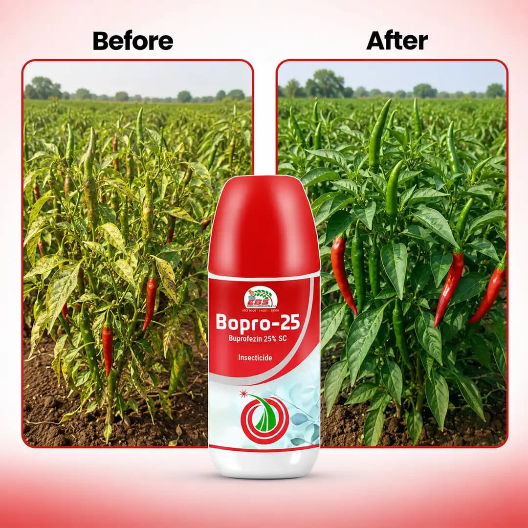 EBS Bopro-25 Insecticide - Buprofezin 25% SC - Image 6