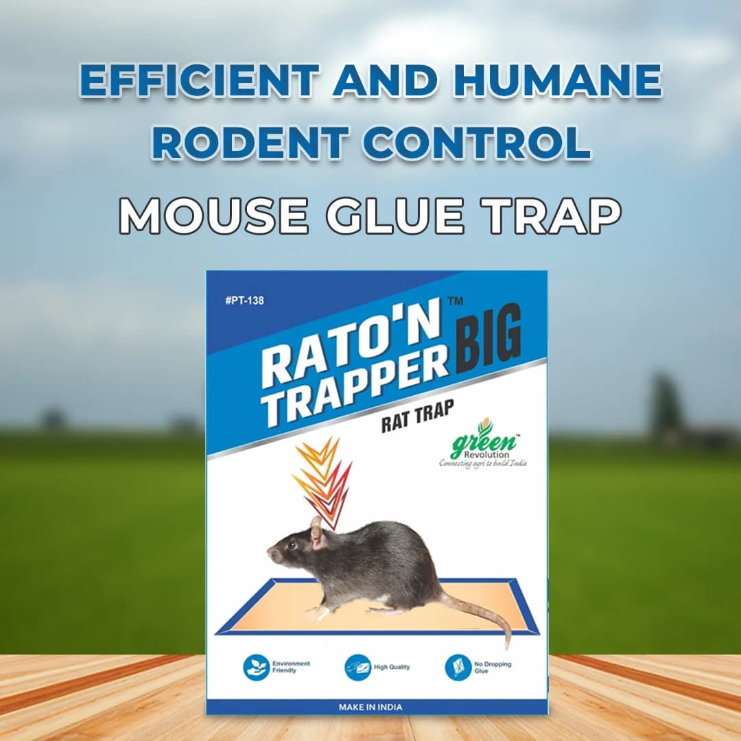 Rato\'n Trapper Big - Rat Trap Glue Pad - Image 2